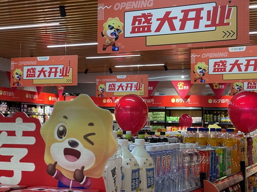家樂福零售云華西區(qū)首家加盟店亮相昆明，加速布局針紡織品市場